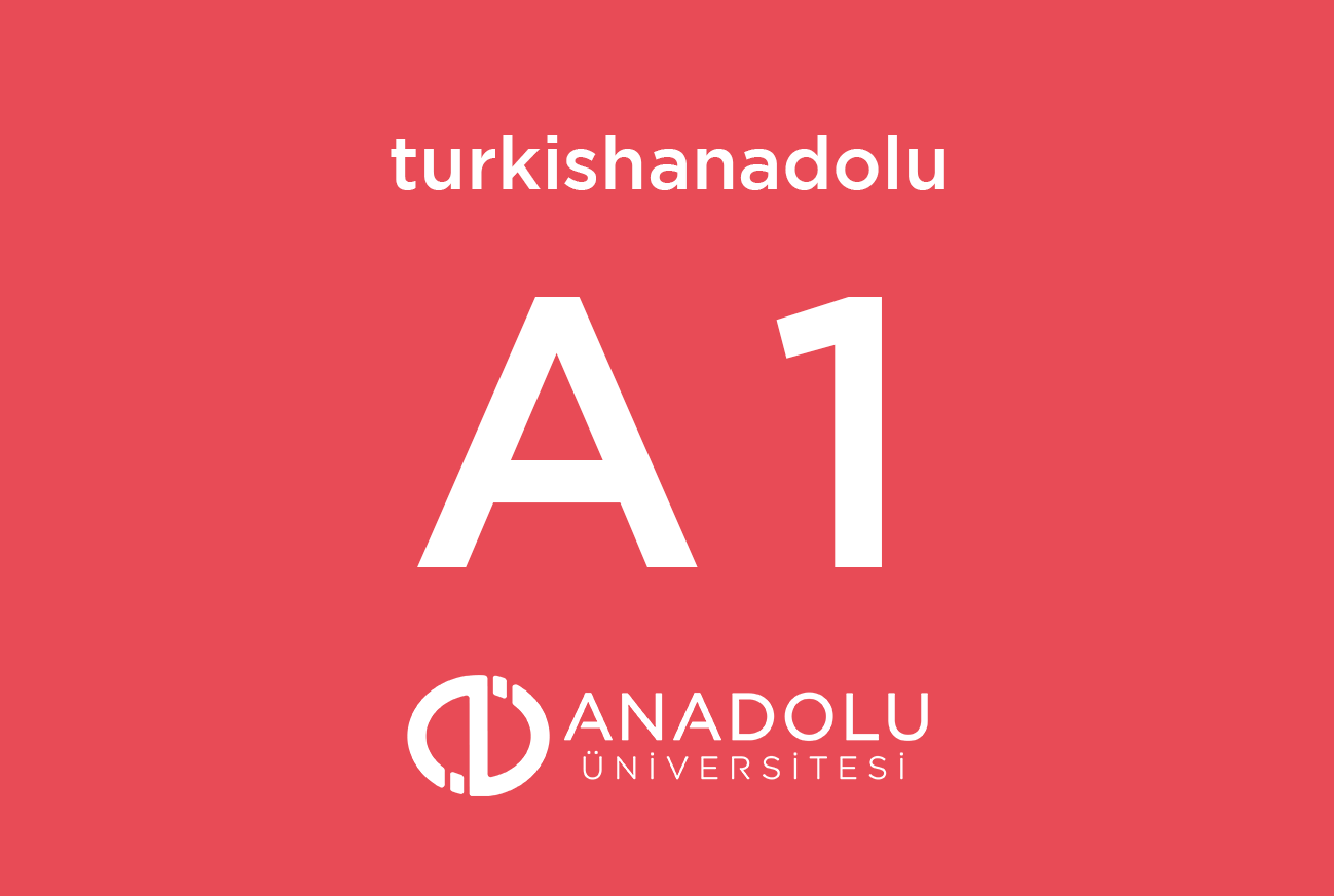 A1 - Çevrim İçi Türkçe Öğretim Programı